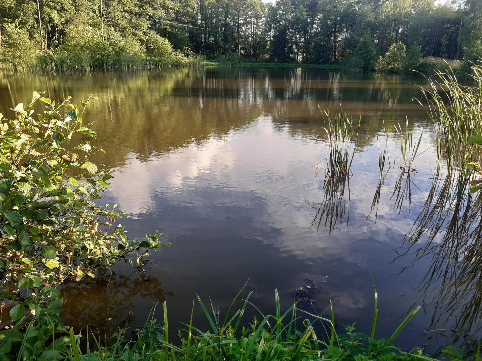 Marcinowka Villa Gołdap Dış mekan fotoğraf